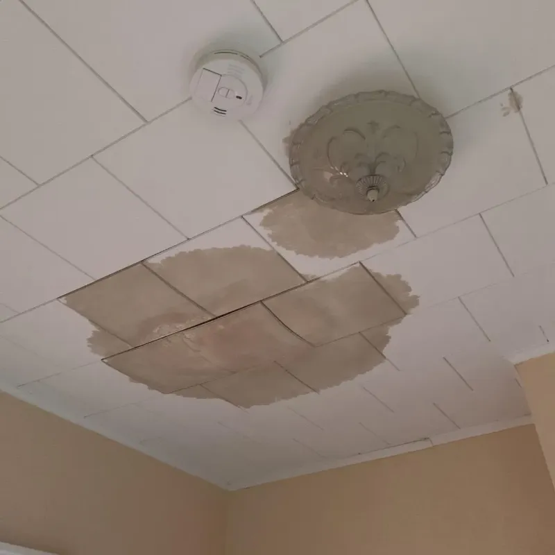 Ceiling Water Damage Repair in Valley View, OH