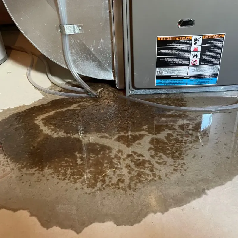 Pipe Burst and Leak Restoration in Valley View, OH