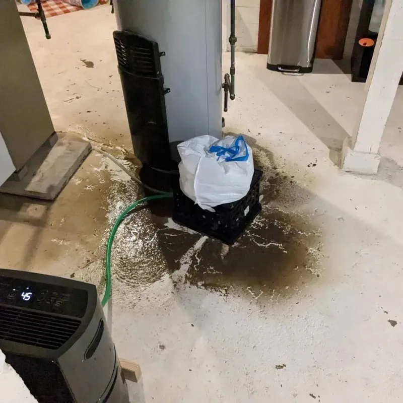 Sewage Backup Cleanup Service in Valley View, OH